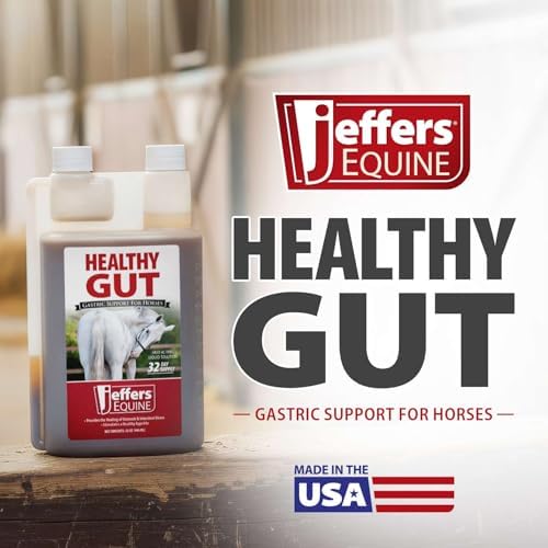 Jeffers Healthy Gut Horse Gastric Support – Liquid Digestive Supplement for Horses Prone to Ulcers, Easy to Feed Formula, Supports Gut Comfort & Balanced Digestion – 32 oz (32 Day Supply)