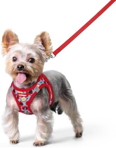 rabbitgoo Dog Harness Small Sized and Leash Set, Step-in Puppy Pet Vest