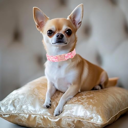 Dainty Daisy Dog Collar, Spring/Summer Pink Floral Girl Dog Collars, Adjustable Heavy Duty Cottagecore Female Dogs Collar for Small Medium Large Dogs with Metal Buckle XL