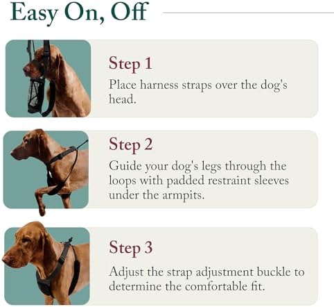 Sporn No Pull Dog Harness, Durable Nylon Mesh Harness for Medium Dogs, No Choke Design, Padded Restraint Sleeves, Adjustable Fit, Easy On/Off, Ideal for Medium Breeds, Red