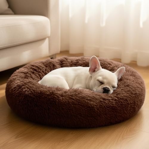 Comfort Donut Dog Bed for Small Dogs, Cat Bed & Pet Bed for Indoor Use, Medium Size with Soft Plush, Round Dog Beds for Large Dogs and Cats (Coffee, 20''Lx20''Wx8''Th)