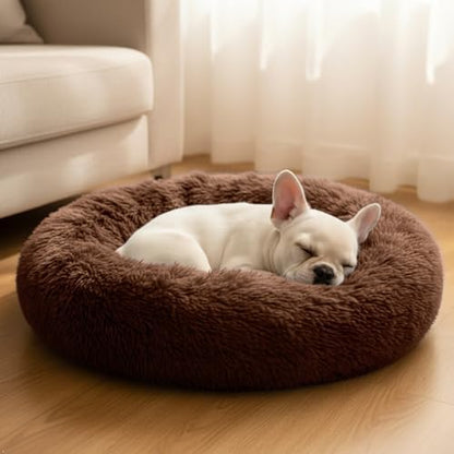 Comfort Donut Dog Bed for Small Dogs, Cat Bed & Pet Bed for Indoor Use, Medium Size with Soft Plush, Round Dog Beds for Large Dogs and Cats (Coffee, 20''Lx20''Wx8''Th)