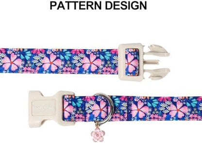 Lionet Paws Floral Dog Collar Spring Summer Daisy Cosmos Bipinnatus Collars with Pink Cherry Blossom Pattern - Female Girl Dog Collar for Small Medium Large Dogs M