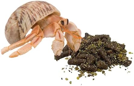 Needzo Hermit Crab Food, Natural Supplies and Necessities for Pets, Resealable Bags, 2 Ounces (Pack of 2)