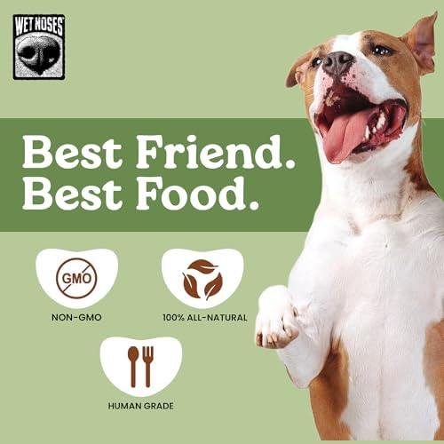 Wet Noses Organic Crunchy Dog Treats – All-Natural, Human-Grade, Non-GMO, Healthy Training & Delicious Snacks for Dogs, for All Dog Sizes & Breeds – Grilled Turkey, 14oz (2 Pack)