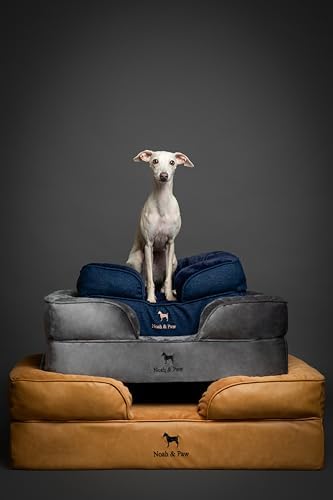 NOAH & PAW Large Dog Bed, 35x25x11 Inch, Orthopedic Dog Beds, Eggshell Memory Foam Infused with Cooling Gel, Inner Cover, Water Resistant, Machine Washable (Velvet Sofa Collection)
