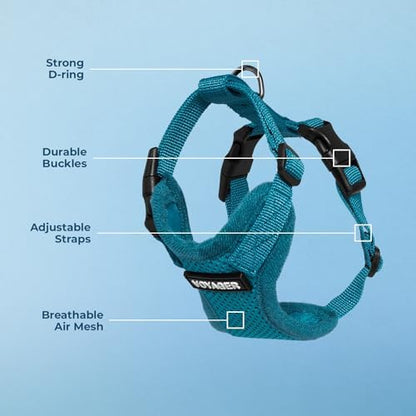 Voyager Step-in Lock Dog Harness - Turquoise, Small