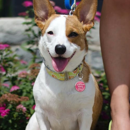 MYLUCKYTAG QR Code Dog Tags - Scan for Instant Pet Location Alert Email