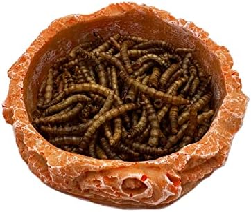 Small Reptile Water Dish Food Bowls, 2 Pack Reptile Feeding Dish for Hermit Crab Bearded Dragon Lizard Leopard Gecko Tortoise Frog