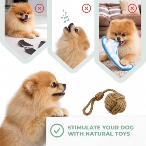 Natural Coffee Wood Slow Chew Dog Toys, 4 Pack, S-M