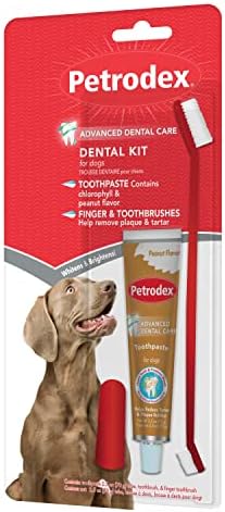 Petrodex Dog Dental Care Kit, Toothbrush & Toothpaste, Peanut, 2.5oz