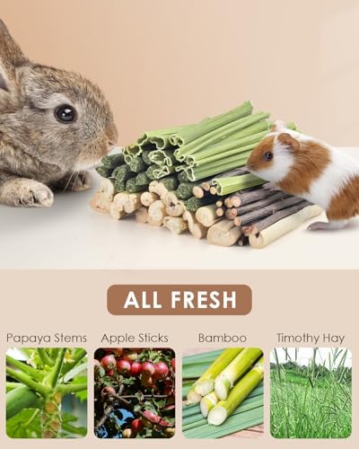Bissap 60PCS Rabbit Chew Sticks, Natural Mix Molar Treat for Small Animals