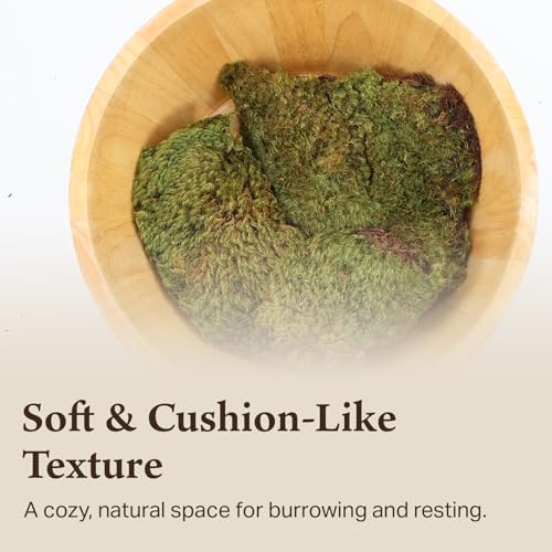 Mood Moss for Terrarium Habitats, Small 2-Pack