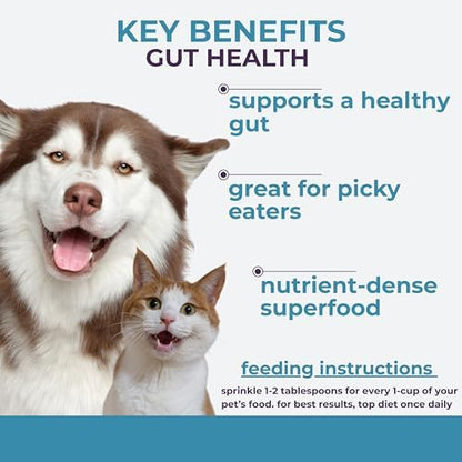 Momentum Carnivore Nutrition Freeze-Dried Gut Health Topper for Dogs & Cats – Turkey Gizzard, Raw Goat Milk, Ginger & Dandelion Root – 3 oz Bag