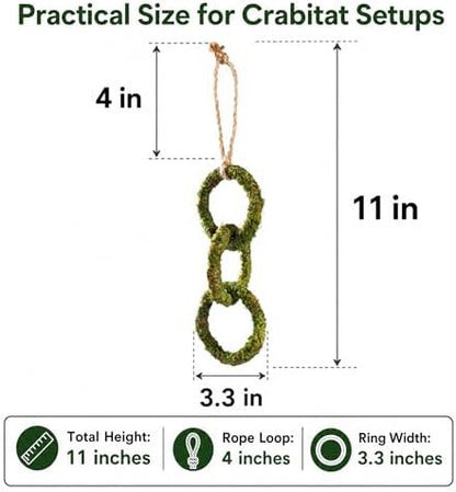 Hermit Crab Climbing Toy, Hanging Moss Climbing Rings for Hermit Crab Tank Accessories, 11 in Crabitat Decor with Rope, Textured Hermit Crab Climbing Accessory for Small Hermit Crabs