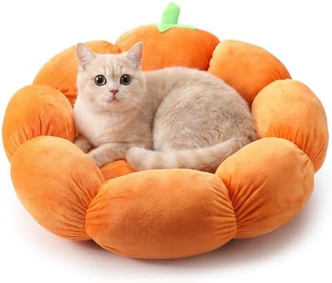 RattanView Cat Bed House Pet Cushion for Indoor Kitten Pet,Pumpkin