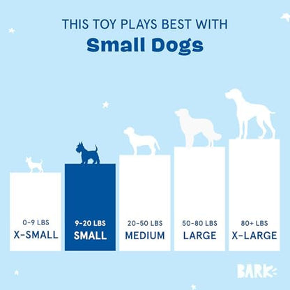 BarkBox Consuela the Cactus 2-in-1 Interactive Plush Dog Toy