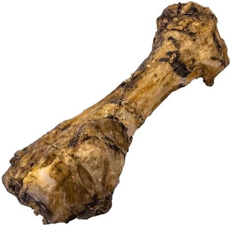 NATURE'S LOGIC All-Natural Extra Meaty Shin Bone Beef Dog Chew Treat