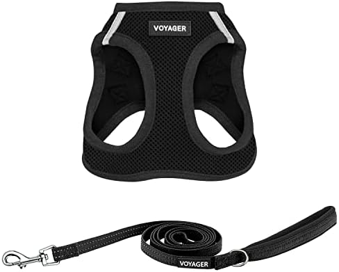 Best Pet Supplies Voyager Step-in Air All Weather Mesh Harness and Reflective Dog 5ft Leash Combo with Neoprene Handle, for Small, Medium and Large Breed Puppies - Black, X-Small