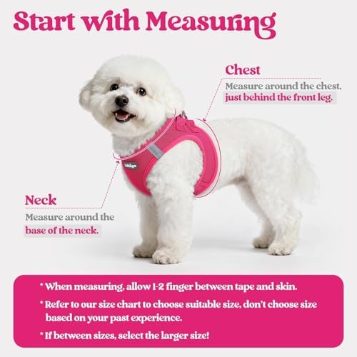 rabbitgoo Dog Harness Medium Sized and Leash Set, Step-in Puppy Pet Vest
