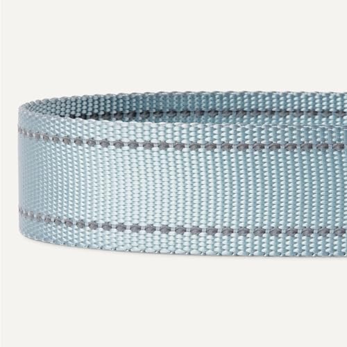 Amazon Basics Reflective Dog Seat Belt with Collapsible Travel Bowl, Elastic Design, 360° Metal Clasp, for Dogs up to 44 lbs, 26.3 inch, Black/Blue/Orange