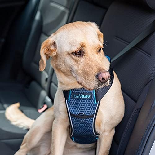 CarSafe Crash Tested Dog Safety Harness | Size L