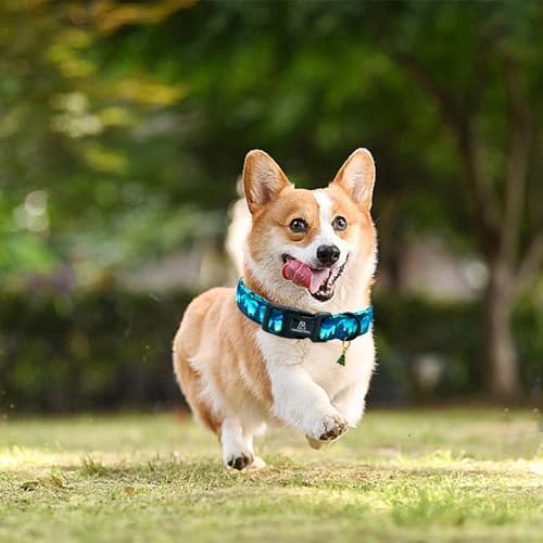 Lionheart glory Dog Collar Green Cute Collar for Medium Dogs Spring Summer Female or Male Collars Pets Gift Adjustable Heavy-Duty Pet Collars