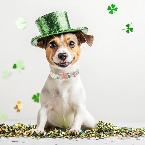 St. Patrick's Day Dog Collar for Small Dogs - Lucky Clover Pastel Dog Collars, Irish Spring Shamrock Pet Collars, Adjustable Heavy Duty Dogs Collar with Metal Buckle S