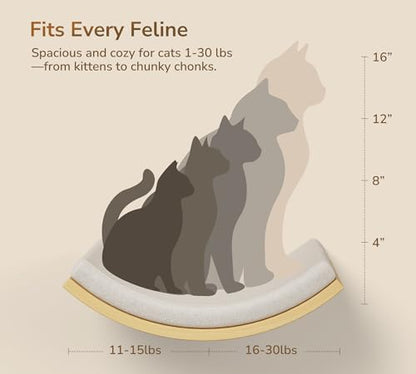 4-PCS Cat Wall Shelves with Foam-Padded Bed & Sisal Steps for Indoor Cats