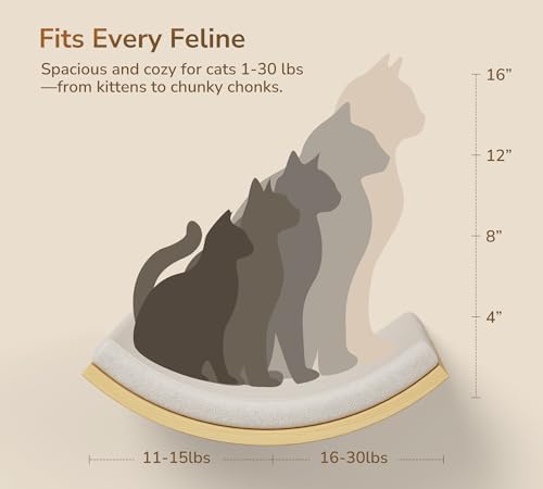 Cat Window Perches, Cat Wall Shelves with Curved Bed and 2 Sisal Mat Steps