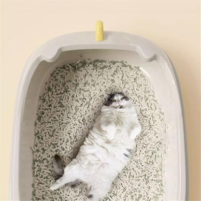 Litter Box, Durable Open Cat Litter Box with Scoop,Anti Splash Pet Tray Cat Litter Box(Blue)