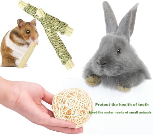 16PCS Guinea Pig Toys, Rabbit Play Balls Rolling, Teeth Care Molar Toys for Hamster Rabbit Guinea Pig Rats Gerbils Hamster Chinchilla Etc