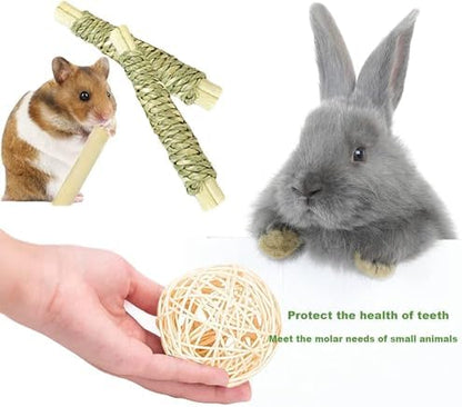 16PCS Guinea Pig Toys, Rabbit Play Balls Rolling, Teeth Care Molar Toys for Hamster Rabbit Guinea Pig Rats Gerbils Hamster Chinchilla Etc