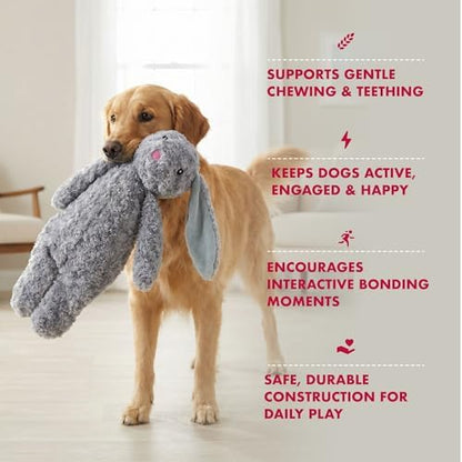 Petlou Stuffingless Floppy Plush Dog Toys with Durable Squeak and Crinkle Paper Dog Chew Toys for Large Dogs and Medium Dogs (Gray, 19 Inch Floopy Rabbit 2)
