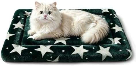 Dog Bed Mat, Reversible Crate Pad & Cute Dog Bed - Machine Washable Kennel Mat with Ultra Soft (Big&Small Stars Green, 18" L x 14" W x 1.5" Th)