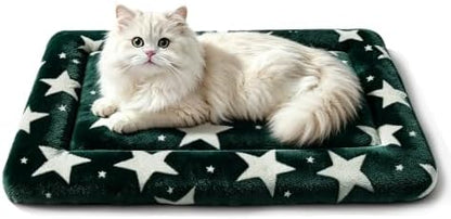 Dog Bed Mat, Reversible Crate Pad & Cute Dog Bed - Machine Washable Kennel Mat with Ultra Soft (Big&Small Stars Green, 18" L x 14" W x 1.5" Th)