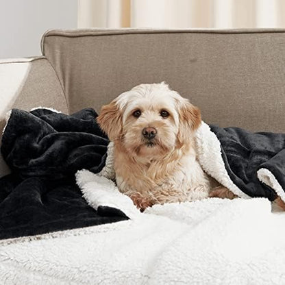 NICETOWN Black Sherpa Fleece Blanket Warm Dual Sided Fluffy Plush Super Soft Lap Blankets and Throws for Kids, Gift Throw Blankets for Women/Baby/All Season, 50 x 60 inches