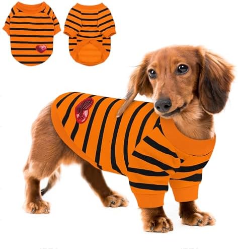 Queenmore Medium Dog Shirt,Soft Breathable Dog Shirt for Dogs Cats Boy Girl,Pet Clothes for All Season,Breathable Lightweight Pet Tshirt for Frenchie, Dachshund, Yorkie