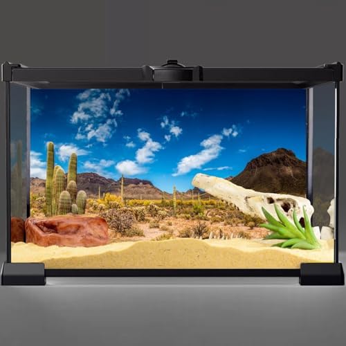 24x12 in Reptile Habitat Background Blue Sky Cactus Desert Tank Backdrop