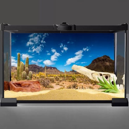 24x12 in Reptile Habitat Background Blue Sky Cactus Desert Tank Backdrop