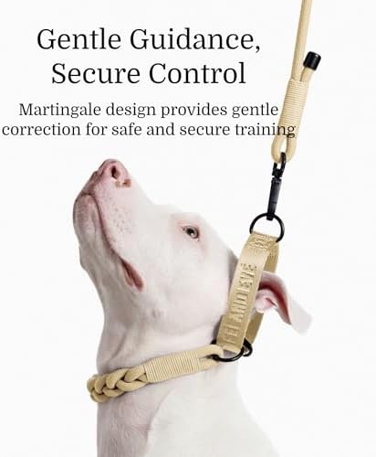 Fei & Eve Hand-Braided Martingale Dog Collar