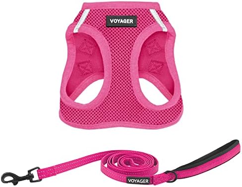 Best Pet Supplies Voyager Step-in Air All Weather Mesh Harness and Reflective Dog 5ft Leash Combo with Neoprene Handle, for Small, Medium and Large Breed Puppies - Fuchsia, Large