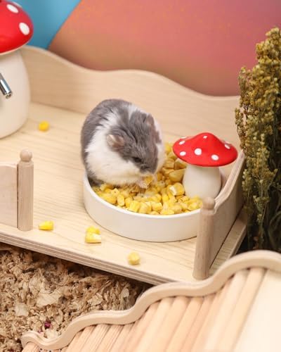 Niteangel Hamster Snack & Treats Toy - Freeze-Dried Corn & No Additive