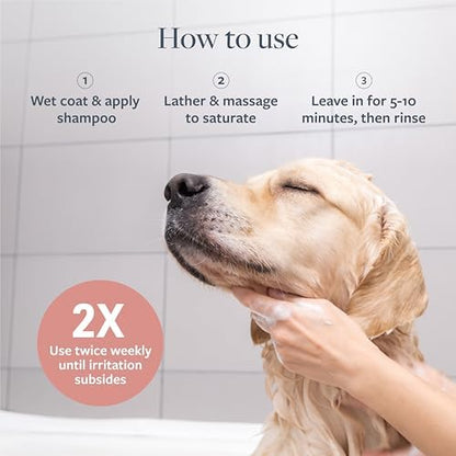 Veterinary Formula Clinical Care Hot Spot & Itch Relief Pet Shampoo, 16 oz