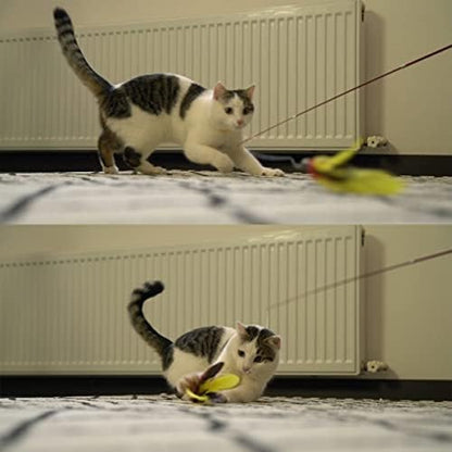 11PCS Cat Wand Attachments, 10 Cat Feather Toy Refills and 1 Spare String