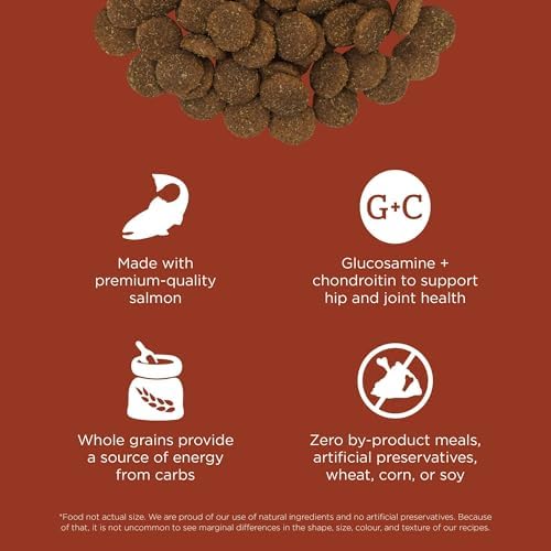 Go! Solutions Skin + Coat Care Salmon Large Breed Dry Dog Food with Grains, Chicken-Free, Healthy Kibble, Glucosamine & Chondroitin for Healthy Hips & Joints, for Adults & Seniors, 25 lb Bag