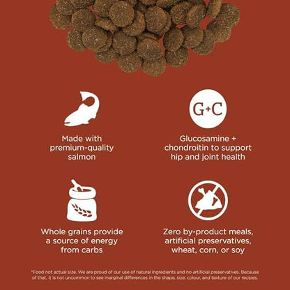 Go! Solutions Skin + Coat Care Salmon Large Breed Dry Dog Food with Grains, Chicken-Free, Healthy Kibble, Glucosamine & Chondroitin for Healthy Hips & Joints, for Adults & Seniors, 25 lb Bag