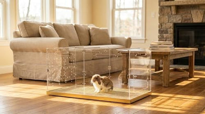 GuineaLoft™ Custom Acrylic Cage (Model-B) for Bunnies & Rabbits - 4'x2'x2'