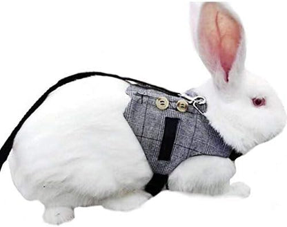 Hypeety Multipurpose Rabbit Vest Harness and Leash Set Adjustable Vest, L