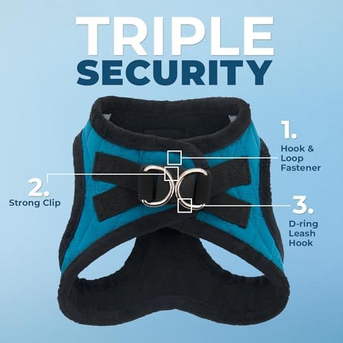 Best Pet Supplies Voyager Step-in Plush Dog Harness - Soft, Step in Vest Harness and Reflective Dog 5 ft Leash Combo with Neoprene Handle for Small and Medium Dogs, Turquoise Plush, XS